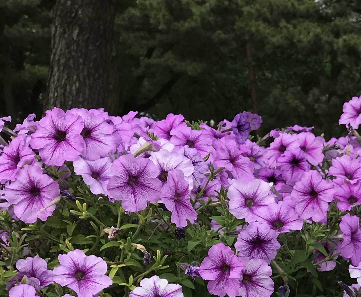 歲月長(zhǎng)歌！